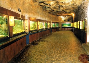 Aquarium d'Arcachon