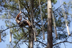 Dans les arbres du parc Bassin Aventure