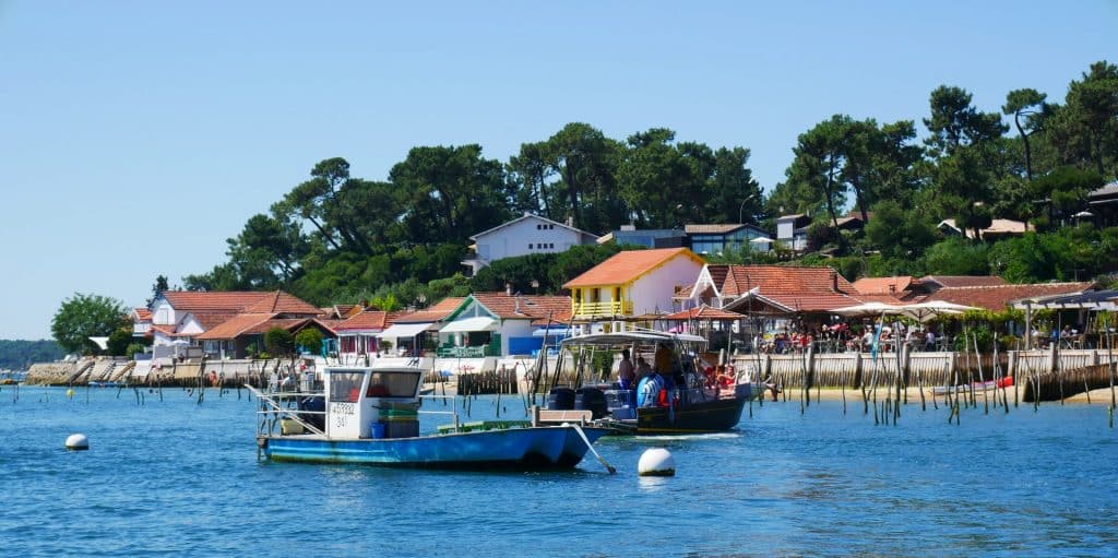 cap ferret